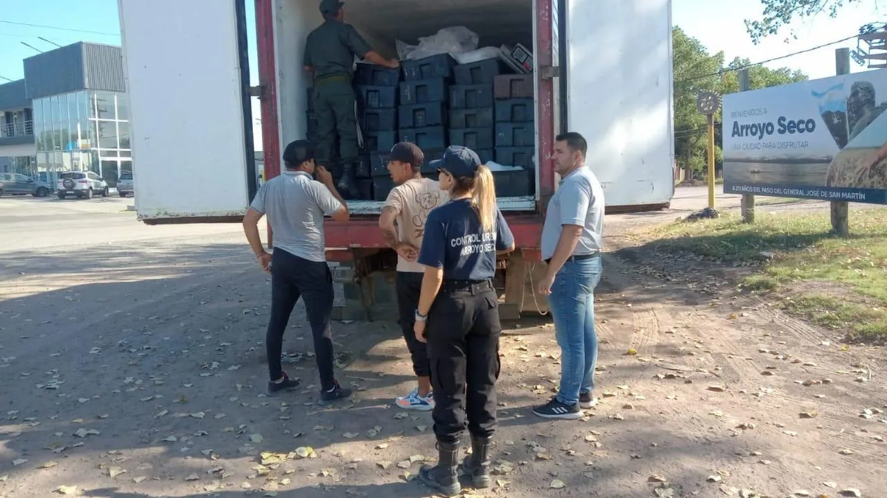 WhatsApp Image 2025-01-22 at 13.13.04