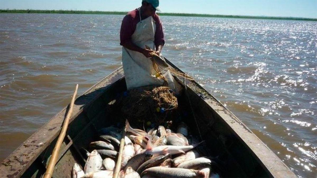 pescadores-rio-parana-rosario