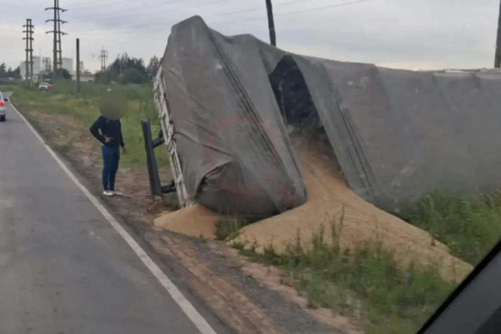 Camión que volcó esta mañana en el camino que une Ricardone y San Lorenzo.
