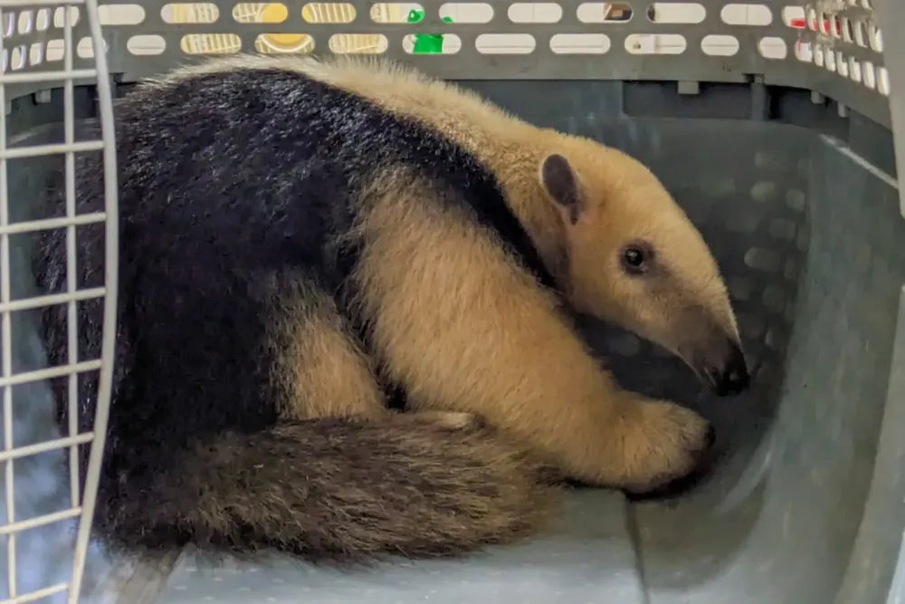 WhatsApp Image 2025-01-25 at 10.24.58