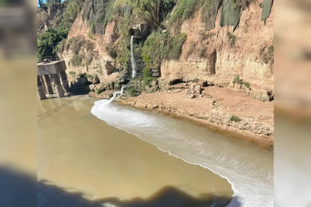 InShot_20241124_191020476