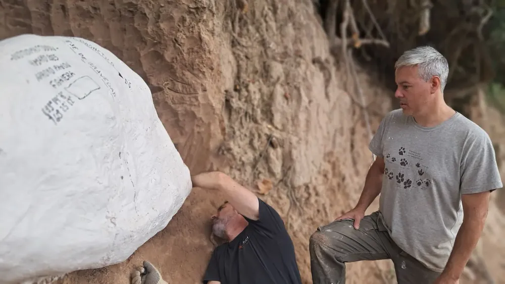 WhatsApp Image 2025-05-07 at 09.25.46