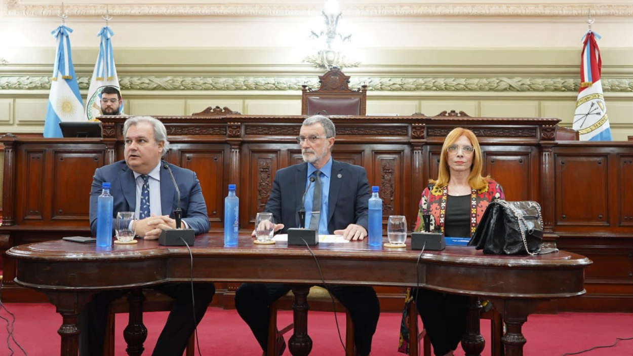 rimoldi_diputados