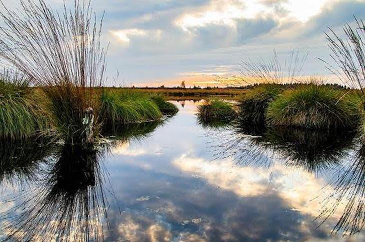 humedales