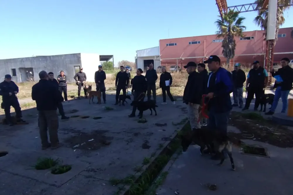 WhatsApp Image 2024-09-10 at 11.29.41