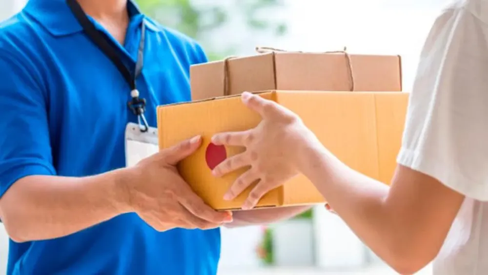 WhatsApp Image 2024-11-16 at 10.18.34