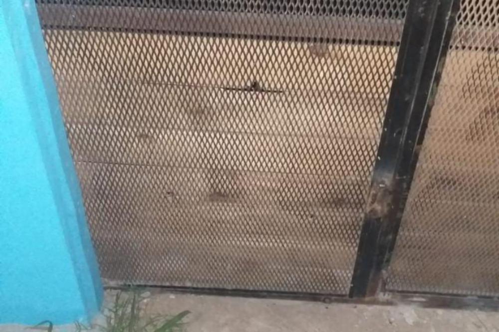 WhatsApp Image 2022-02-15 at 11.11.34