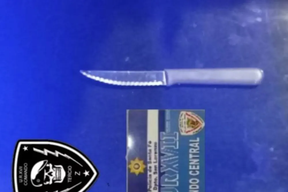 InShot_20241201_095834109