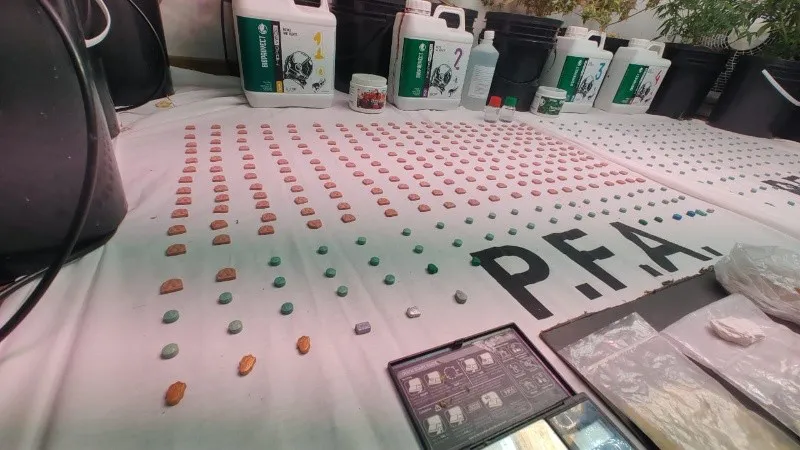 extasis.PFA
