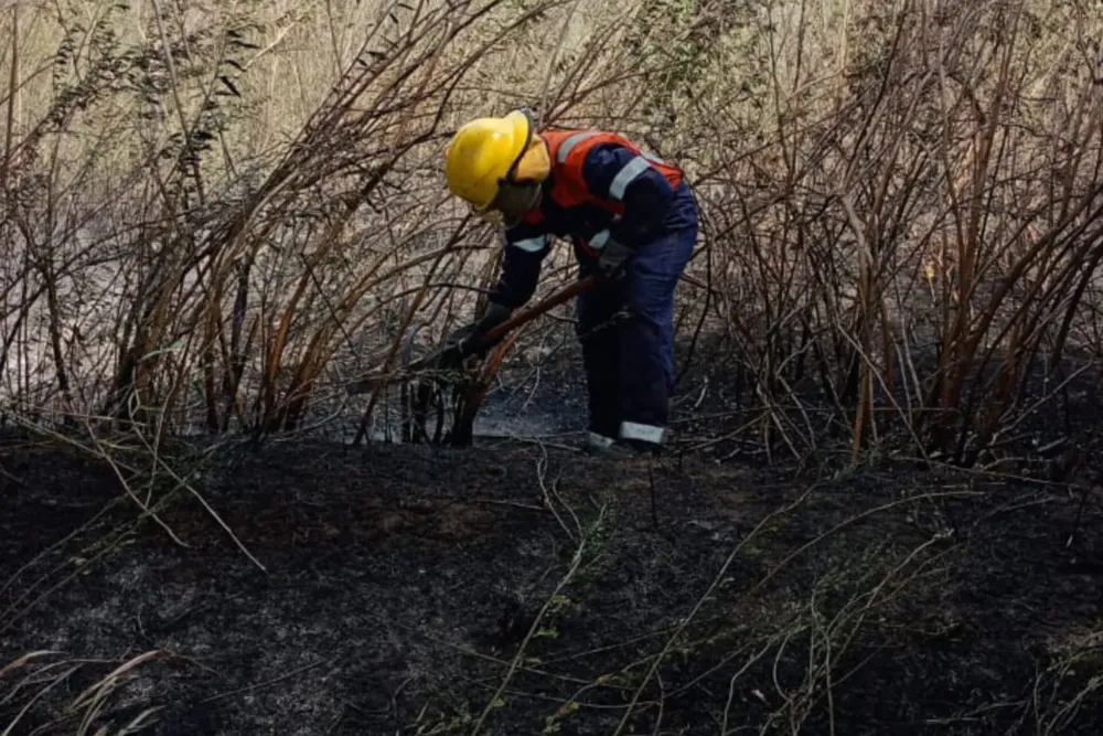 Incendio de pastizales en Ricardone 