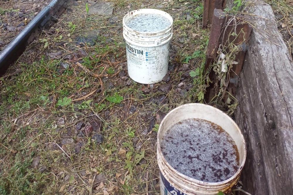 InShot_20240229_094023904