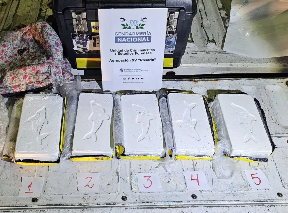 WhatsApp Image 2024-10-29 at 14.56.03