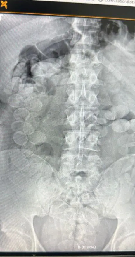 WhatsApp Image 2025-12-04 at 17.27.50 (1)