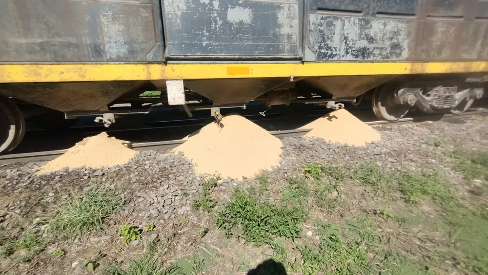 WhatsApp Image 2025-03-15 at 11.01.28 (1)