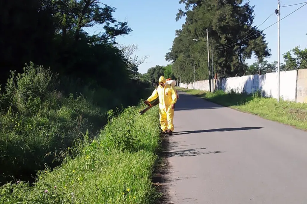 dengue3-