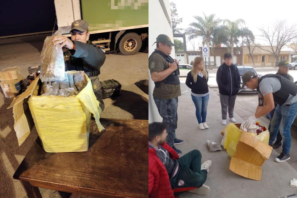 WhatsApp Image 2023-08-17 at 11.29.43