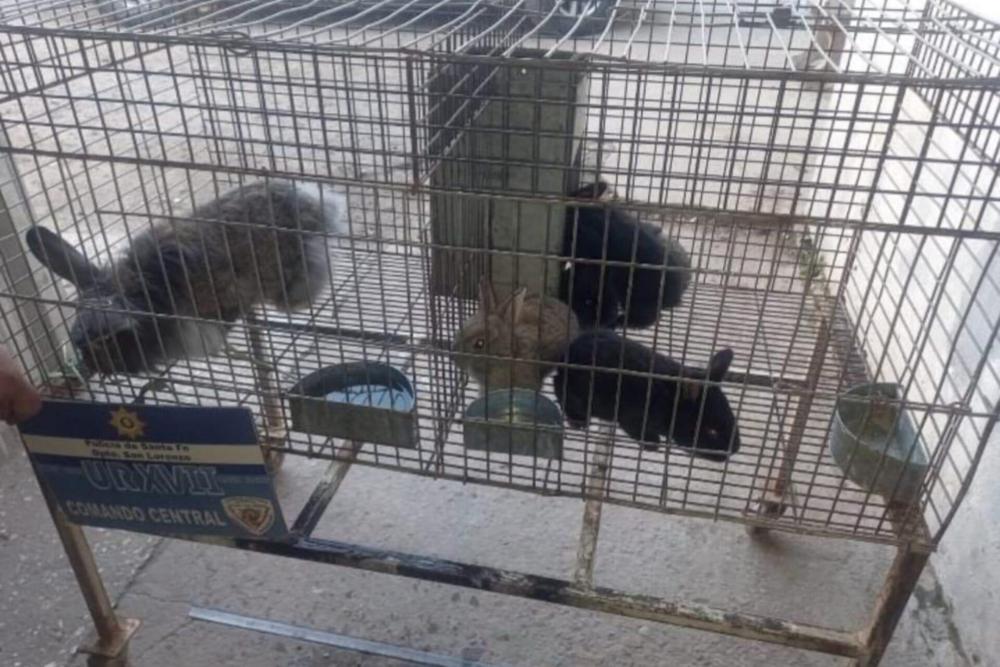 secuestro animales