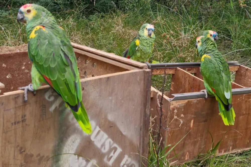 InShot_20240720_184248897