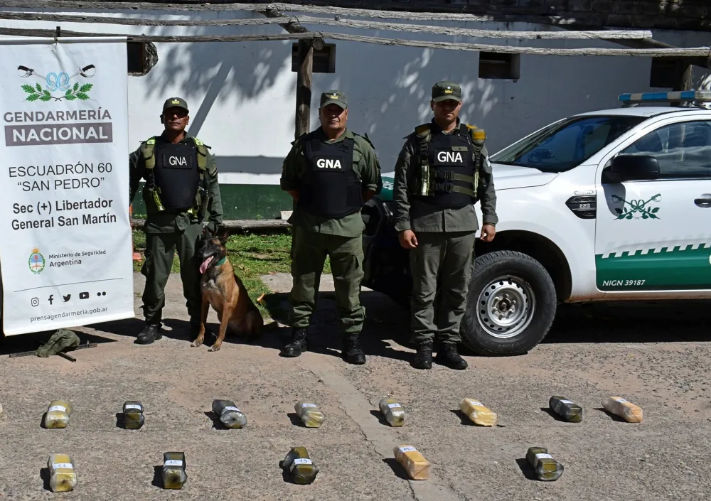 whatsapp_image_2025-02-24_at_13.58.53