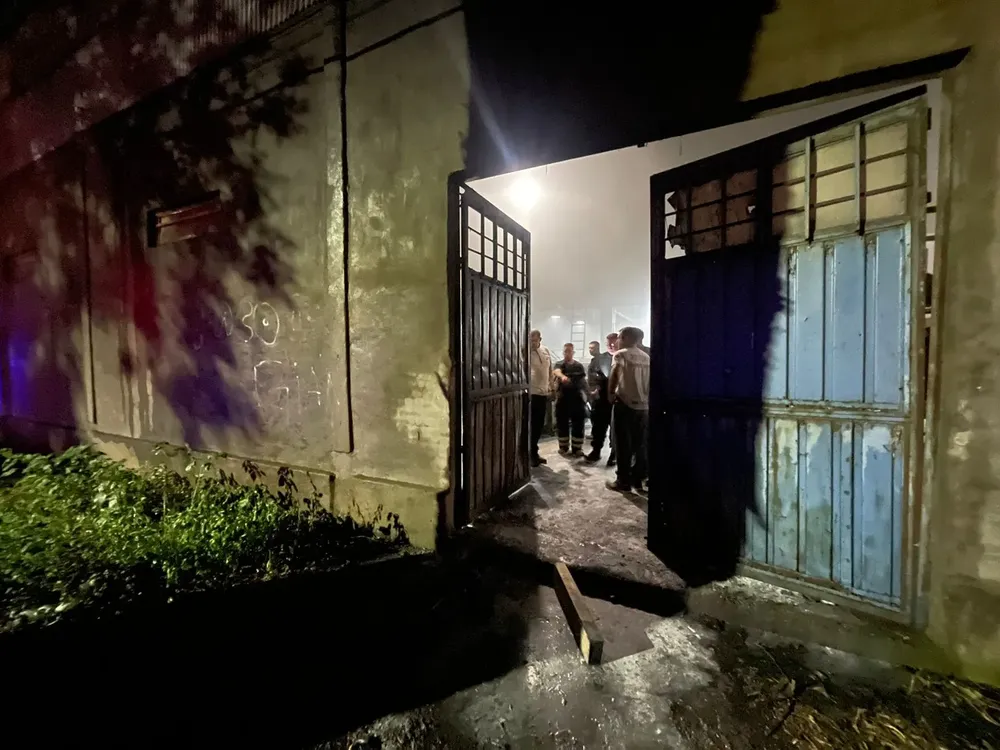 WhatsApp Image 2025-11-01 at 07.55.03