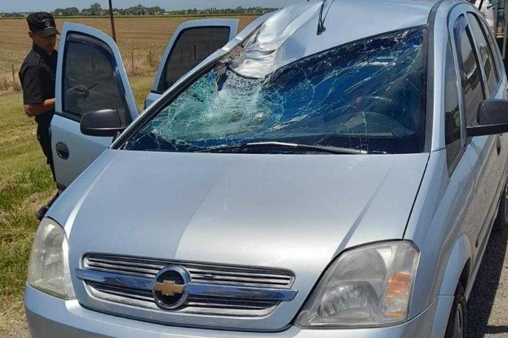 InShot_20211220_185051353