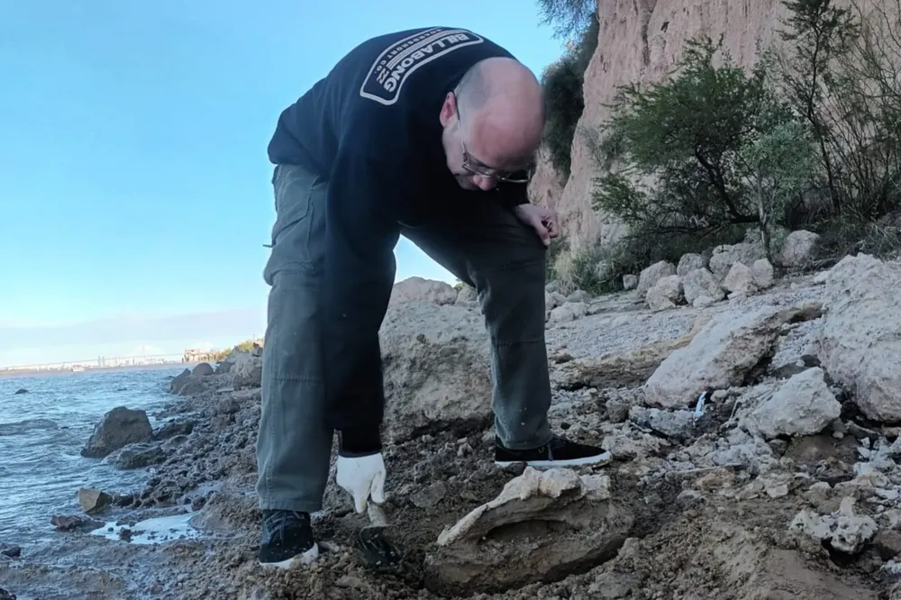 WhatsApp Image 2026-02-13 at 17.47.12