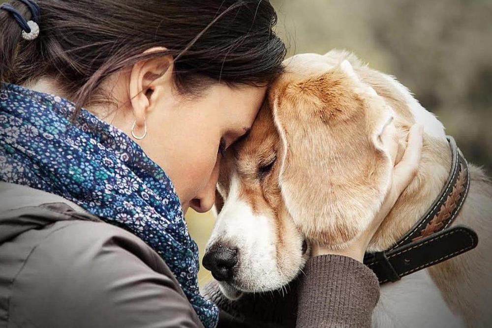 WhatsApp Image 2024-04-17 at 18.18.30