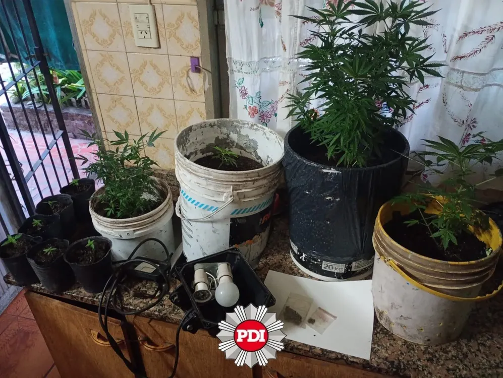 WhatsApp Image 2025-10-04 at 12.37.14