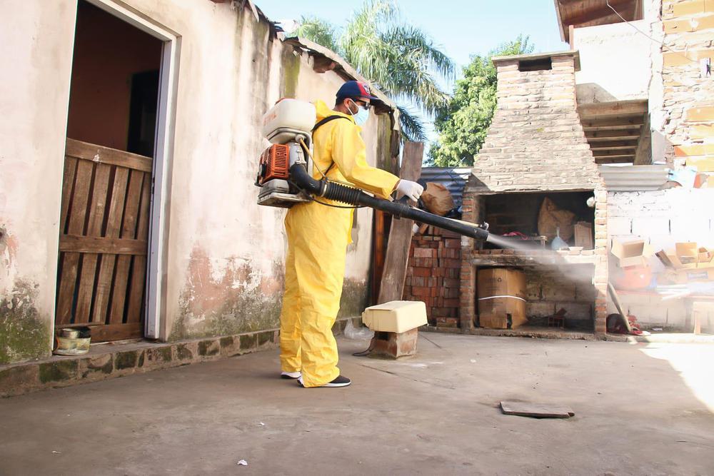 fumigación dengue