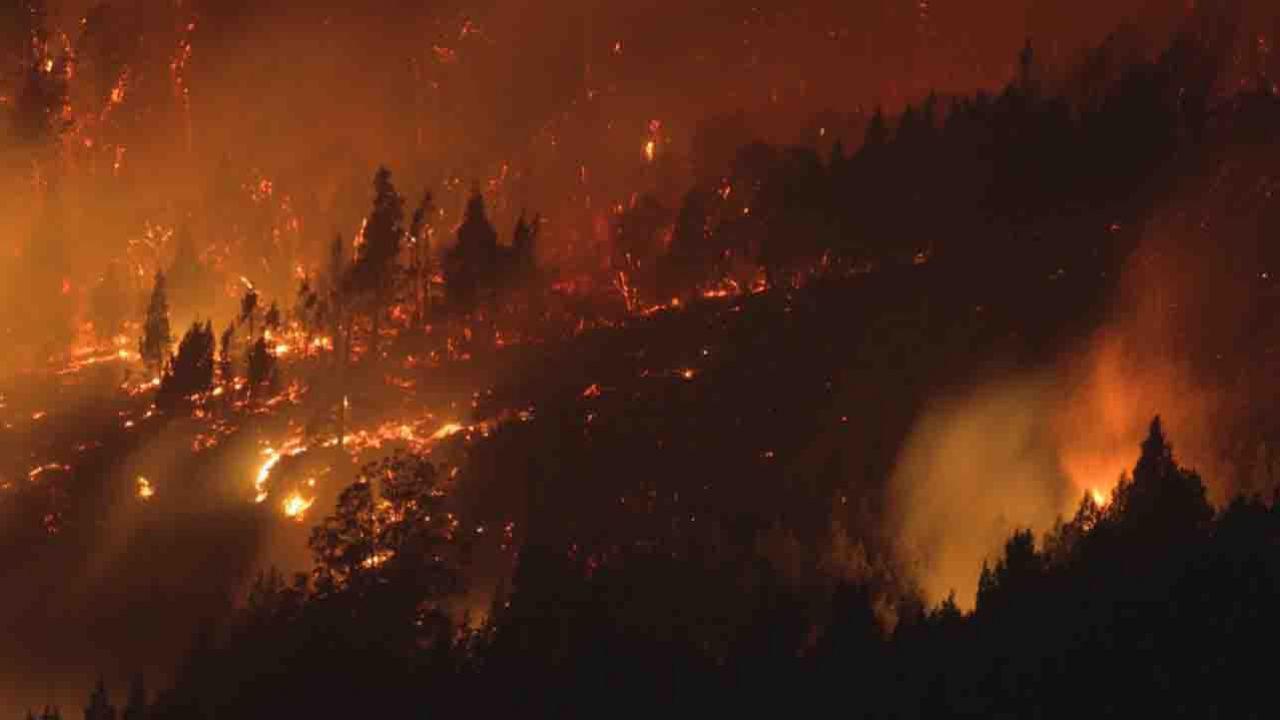 20210310-incendio-el-bolson-1140770