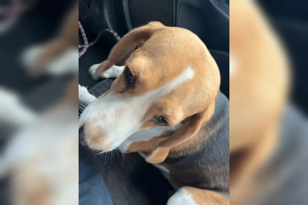 WhatsApp Image 2024-10-10 at 06.17.08