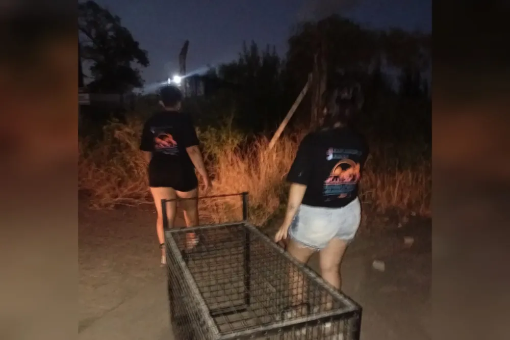 Rescate y Adopciones Cordón Industrial