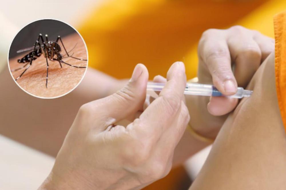 vacunación dengue