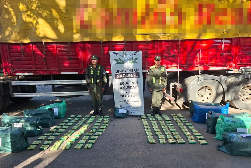 Conducía un camión cargado con 290 kilos de hojas de coca en estado natural (2)