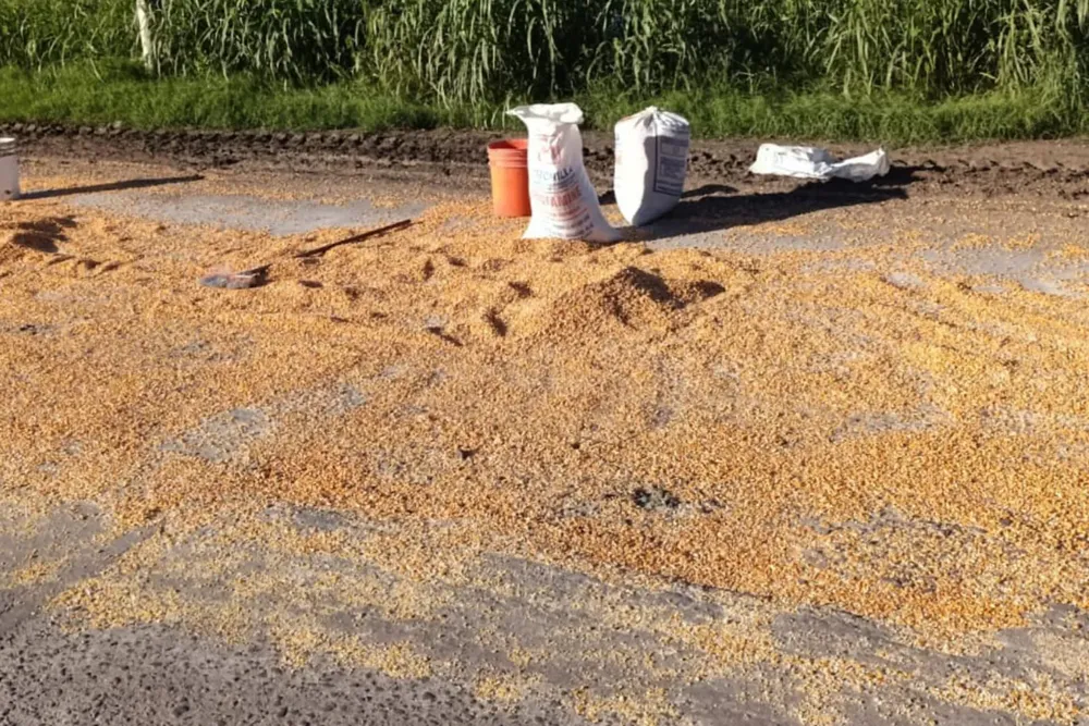 WhatsApp Image 2025-03-11 at 12.09.26