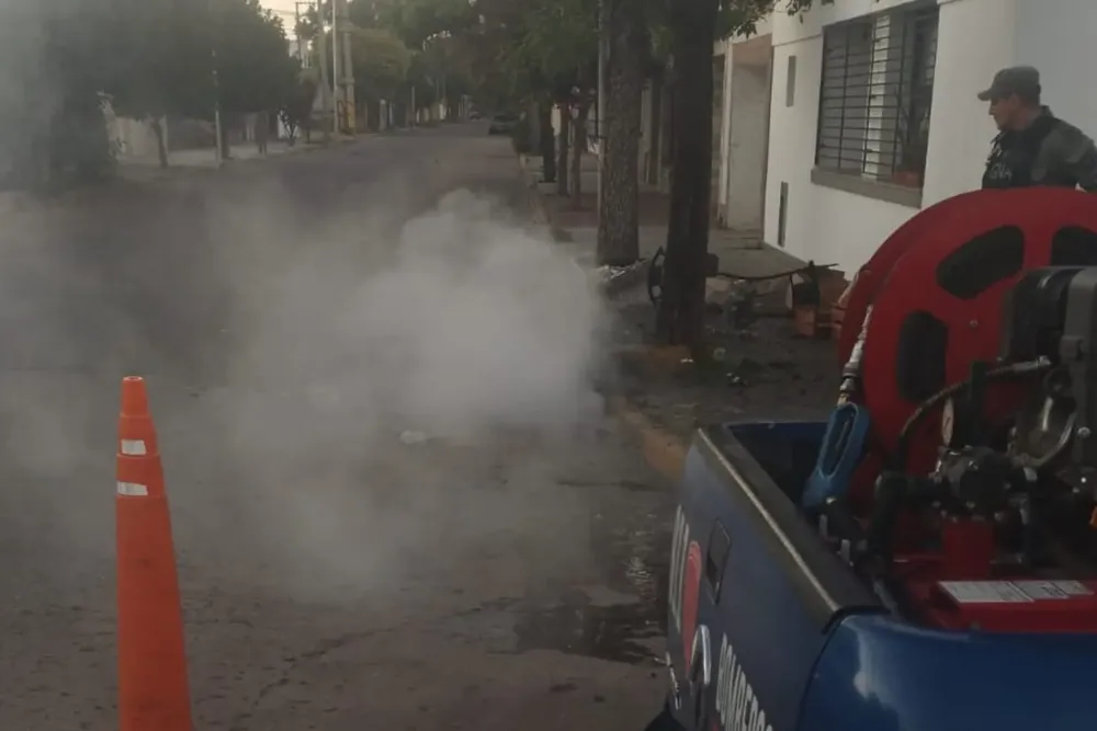 WhatsApp Image 2025-01-21 at 10.01.10