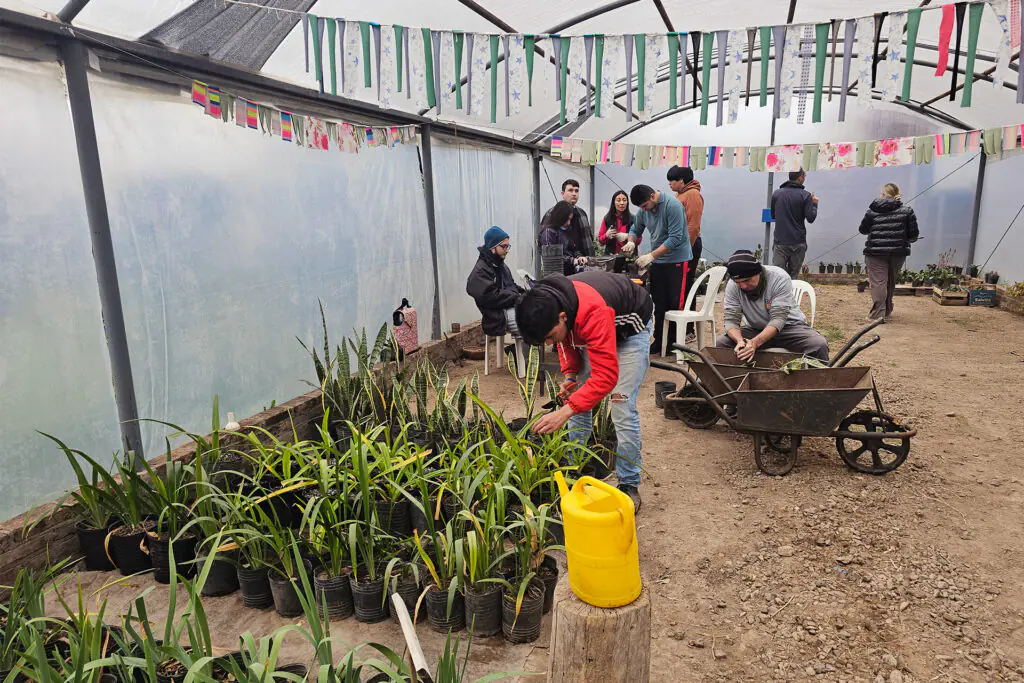 vivero4-