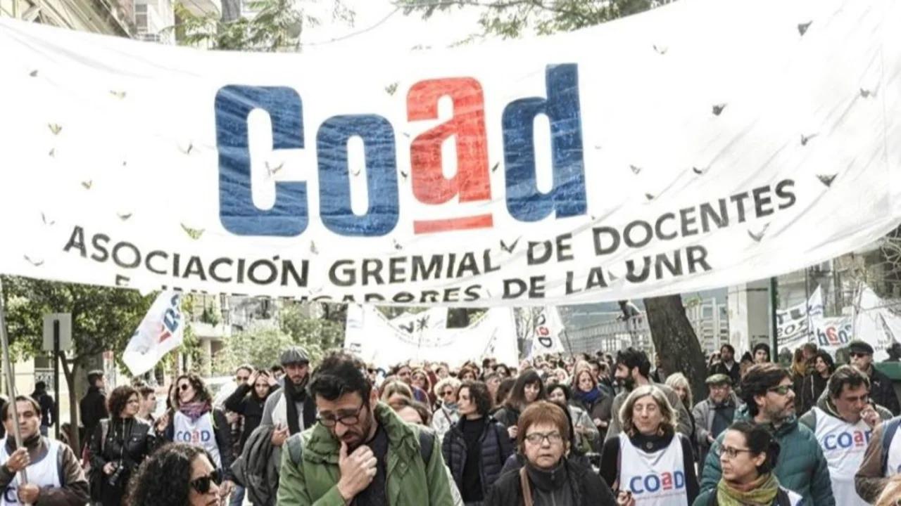 docentes universitarios