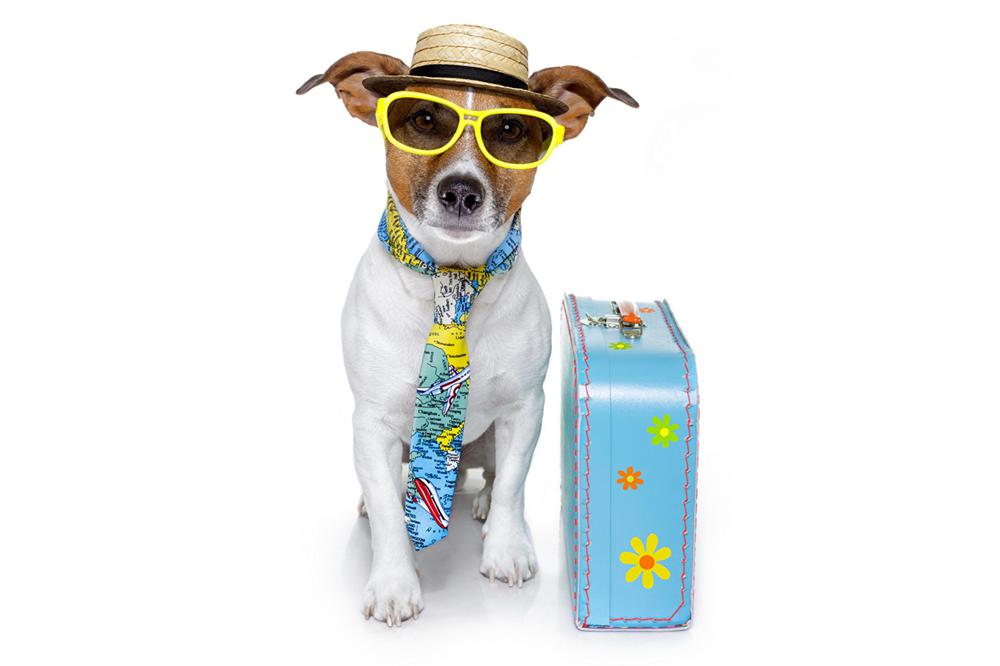 InShot_20211118_073816242