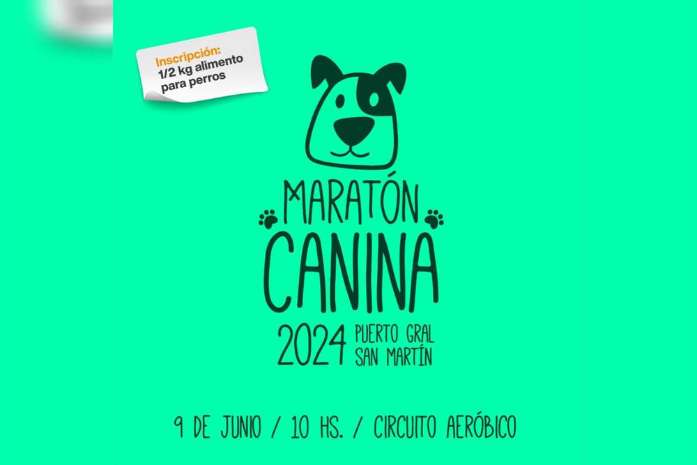  maratón canina