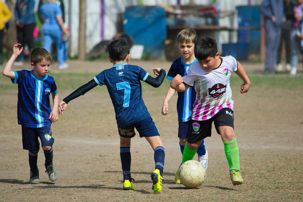 Liga ARFI
