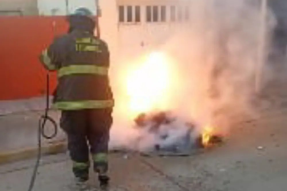 WhatsApp Image 2025-11-16 at 11.03.22