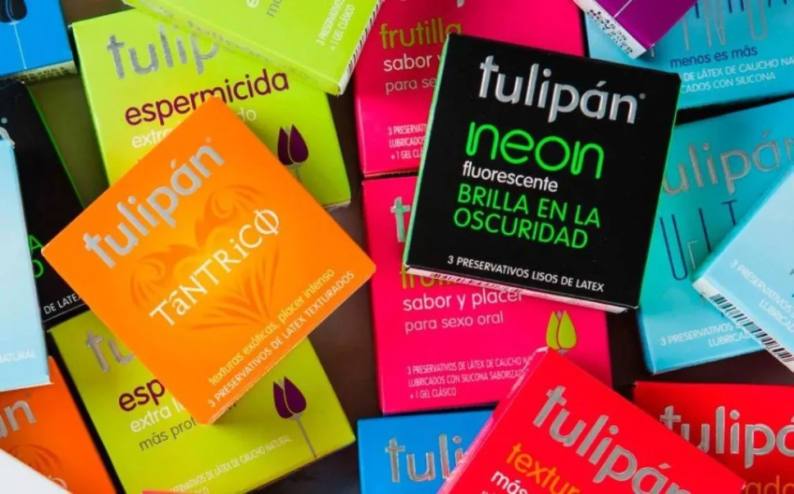 Tulipan