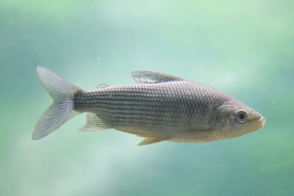 WhatsApp Image 2025-11-09 at 09.00.32