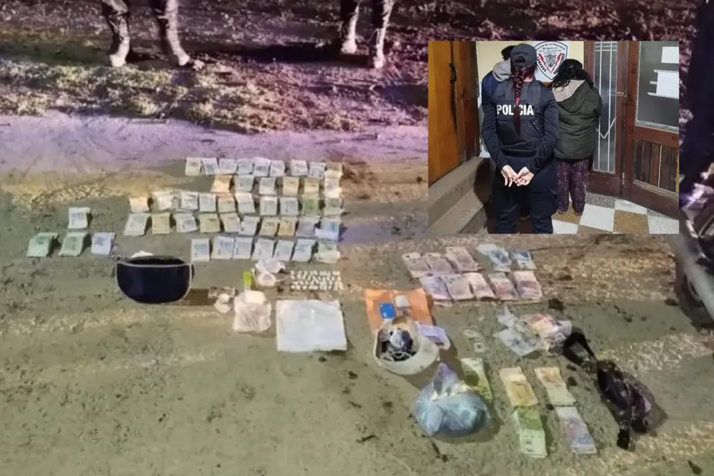 WhatsApp Image 2024-11-05 at 09.41.31 (1)