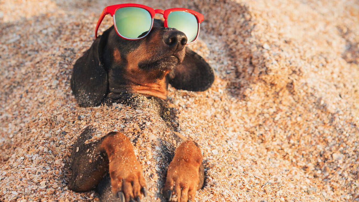 5e9090c61ba68497961350