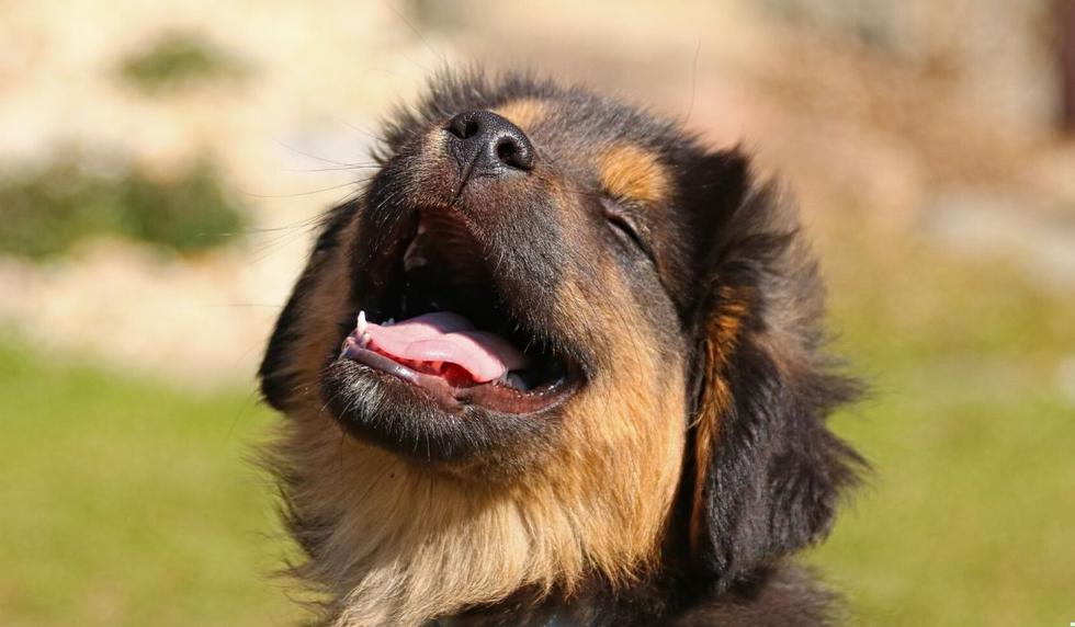 BDGLDN76CFDMLGPGPZMLGE2PQ4