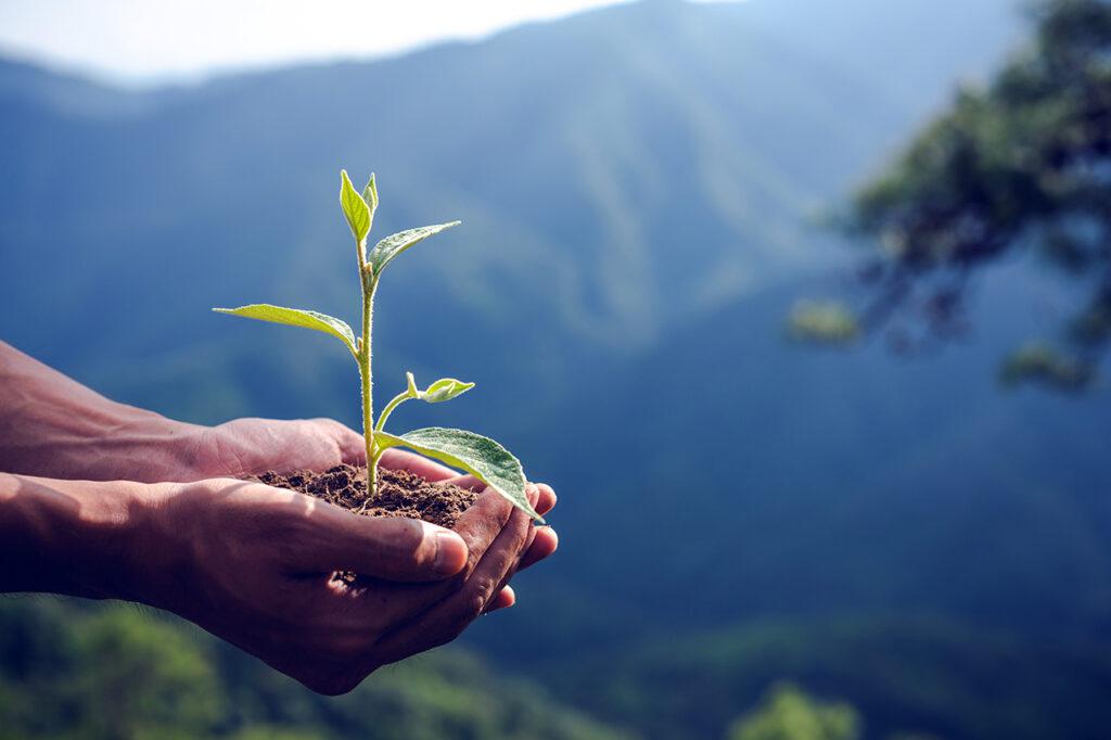 conservacion-