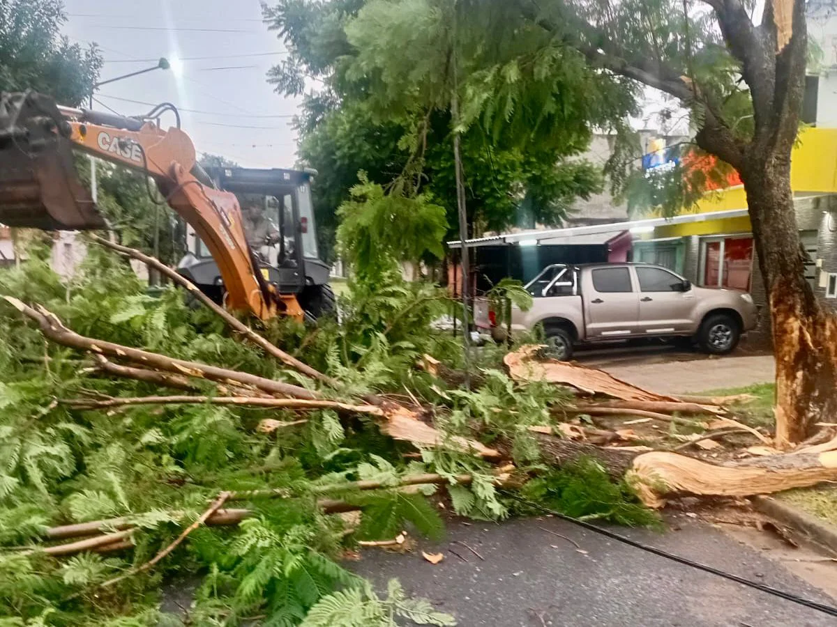 WhatsApp Image 2026-03-03 at 09.24.22