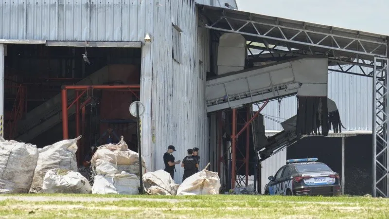 bebé ne planta recicladora